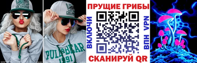 Псилоцибиновые грибы Psilocybine cubensis  Купить где  Краснослободск 