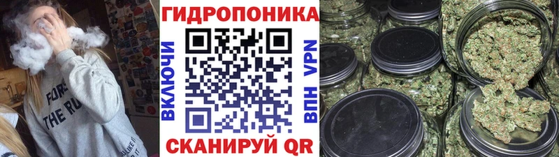 Купить где  Краснослободск  Каннабис конопля 